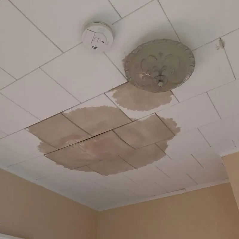 Ceiling Water Damage Repair in Owensville, IN