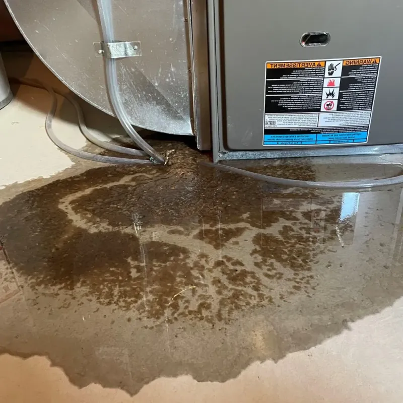 Pipe Burst and Leak Restoration in Owensville, IN